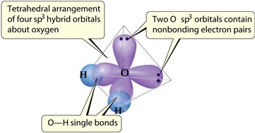 Tetrahedral arrangement of four sp hybrid orbitals about oxygen Two O sp orbitals contain nonbonding electron pairs O-H singl