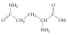 C is double bonded left O and single bonded above to NH2 and right to a three-carbon chain. The final carbon is single bonded below to NH2 and right to COOH.