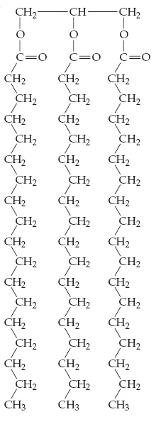 A 3 carbon chain (CH2, CH and CH2) with each C single bonded to O, which is single bonded to CO, which is single bonded to a long, zigzag hydrocarbon chain. Each of the three hydrocarbon chains contains only single bonds.